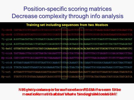 Position-specific scoring matrices Decrease complexity through info analysis Training set including sequences from two Nostocs 71-devB CATTACTCCTTCAATCCCTCGCCCCTCATTTGTACAGTCTGTTACCTTTACCTGAAACAGATGAATGTAGAATTTA.