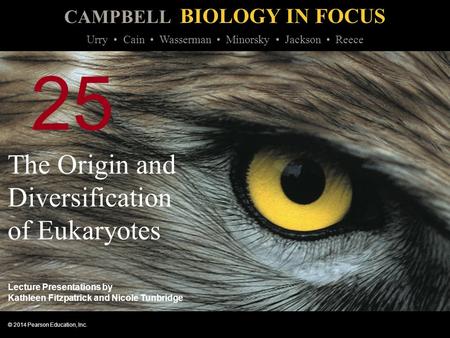 The Origin and Diversification of Eukaryotes