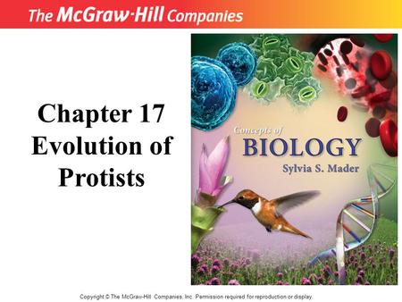 Copyright © The McGraw-Hill Companies, Inc. Permission required for reproduction or display. Chapter 17 Evolution of Protists.