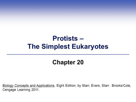 Protists – The Simplest Eukaryotes