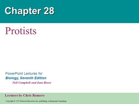 Chapter 28 Protists.