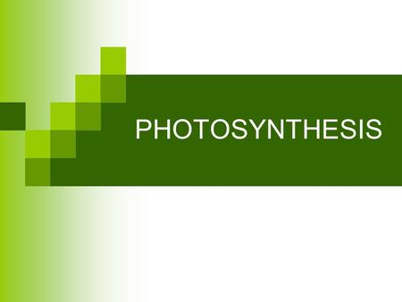 PHOTOSYNTHESIS.