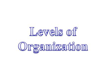 Levels of Organization