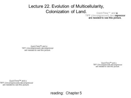 Reading: Chapter 5 Lecture 22. Evolution of Multicellularity, Colonization of Land.