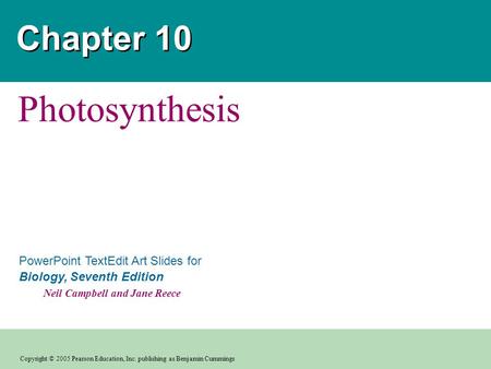 Chapter 10 Photosynthesis.