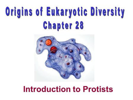 Introduction to Protists