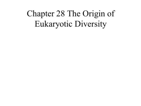 Chapter 28 The Origin of Eukaryotic Diversity