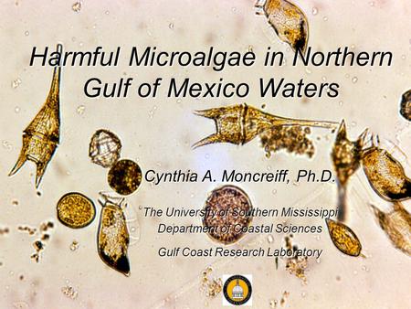 Harmful Microalgae in Northern Gulf of Mexico Waters Cynthia A. Moncreiff, Ph.D. The University of Southern Mississippi Department of Coastal Sciences.