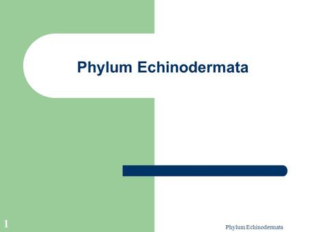 Phylum Echinodermata 1. 2 Defining Characteristics – A complex series of fluid filled canals with numerous flexible feeding and locomotory appendages.