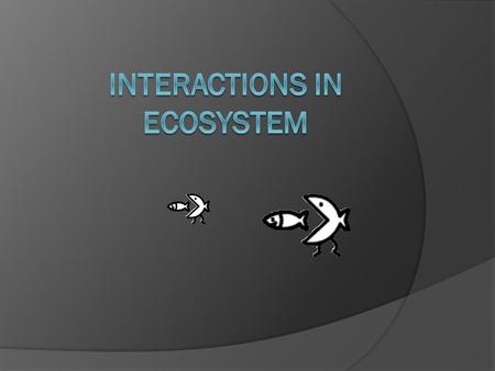 Populations in Ecosystems  A population is a group of organisms that belong to the same species and lives in a particular place at the same time.  Abundance.