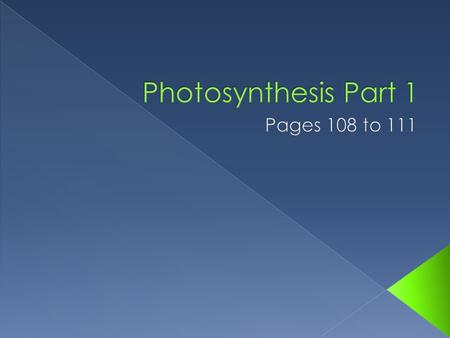  Name some common producers › Plants, algae, some protists, cyanobacteria  Define photoautotroph › An organism that uses light energy to produce food.