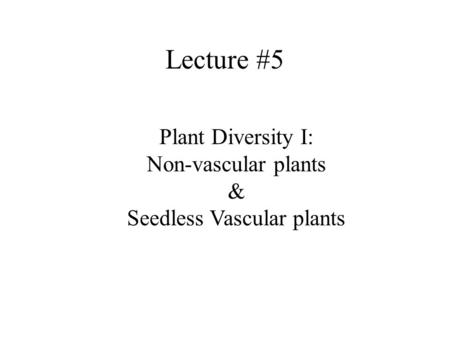 Seedless Vascular plants