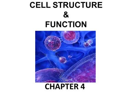 CELL STRUCTURE & FUNCTION