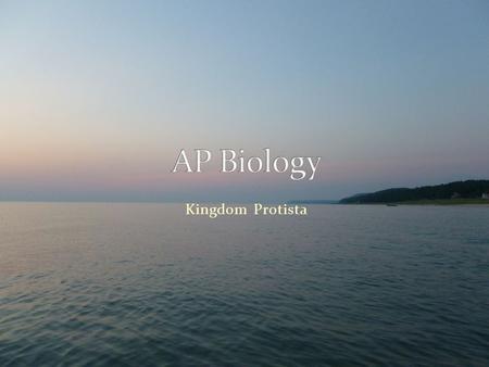 Kingdom Protista. 12.Discuss the rationale for taxonomic reorganization of the kingdom protista 13.Contrast the use of taxonomic “supergroups” with the.