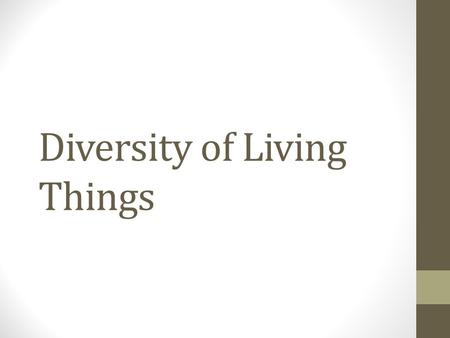 Diversity of Living Things. The Big Picture of Kingdoms BACTERIA & ARCHAEA PROTISTS FUNGI & PROTISTS ANIMALS PLANTS.