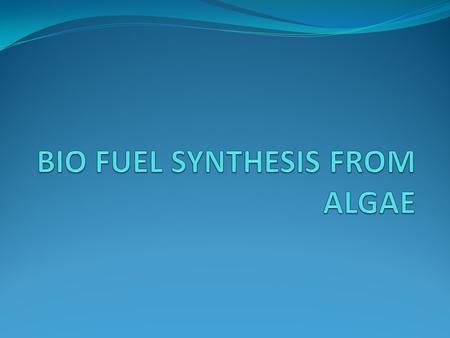 Hypothesis Does increase in the production of bio-fuels have a negative effect on food production? Would using algae curb the global food demand ? How.