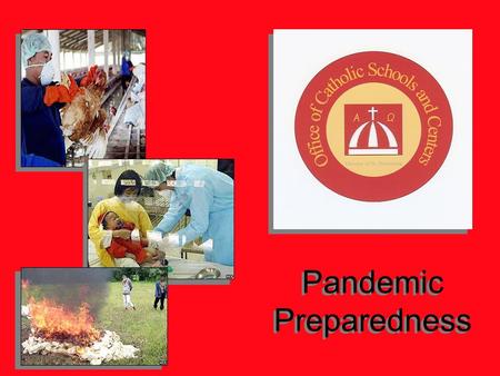 Pandemic Preparedness. STOP Potential Communicable Disease Outbreaks Influenzas Hepatitis A Cholera Typhus TB Influenzas Hepatitis A Cholera Typhus TB.