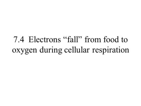 7.4 Electrons “fall” from food to oxygen during cellular respiration.