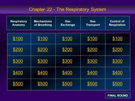 Chapter 22 - The Respiratory System