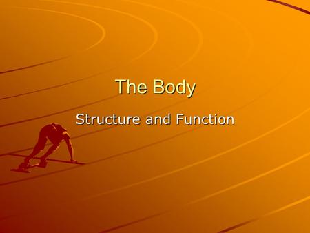 The Body Structure and Function. Oxygen Transport System The main aim of the Oxygen transport system is to help a person exercise. The oxygen transport.