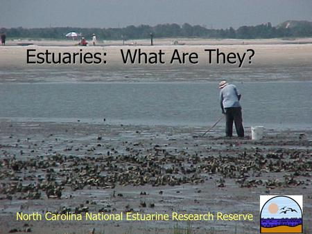 Estuaries: What Are They? North Carolina National Estuarine Research Reserve.