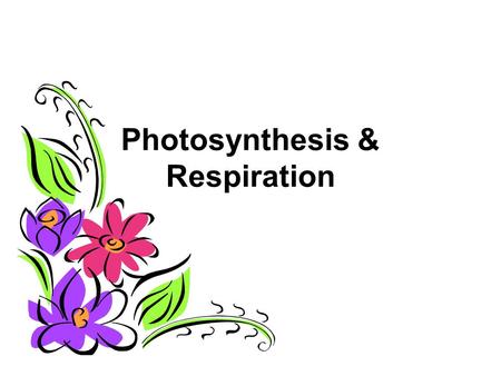 Photosynthesis & Respiration