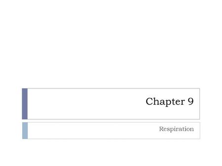 Chapter 9 Respiration. The route from food to energy Glucose Then With oxygen Aerobic Respiration Without oxygen Fermentation Alcoholic Lactic Acid Goes.