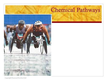 Chemical Pathways Copyright Pearson Prentice Hall.