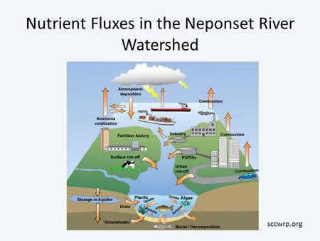 Nutrient Fluxes in the Neponset River Watershed sccwrp.org.