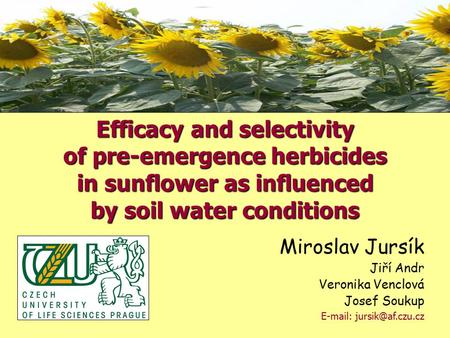 Miroslav Jursík Jiří Andr Veronika Venclová Josef Soukup   Efficacy and selectivity of pre-emergence herbicides in sunflower as.