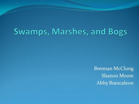 Brennan McClung Shanon Moore Abby Brancaleon. Coastal Wetland Coastal Wetlands are land areas covered with water all or apart of the year. They include.