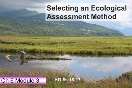 Selecting an Ecological Assessment Method Ch 6 Module 3 HO #s 16-17.