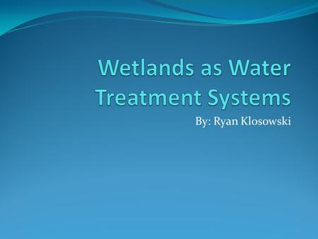 By: Ryan Klosowski. Outline of Points Background of Wetlands Why Wetlands are needed/Problems How Wetlands are solutions? Case Study Showing Wetlands.