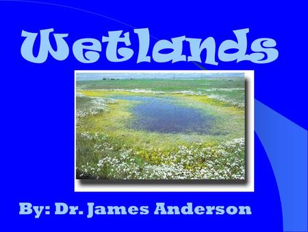 Wetlands By: Dr. James Anderson. An estimated 221 million acres of wetlands occurred in the 48 states prior to European settlement.