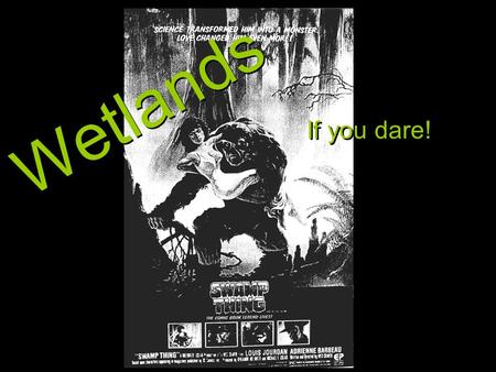 Wetlands If you dare! I. What is a Wetland? A.Wetlands: 1.Definition: transitional lands between terrestrial and aquatic ecosystems. 2.Defining characteristics: