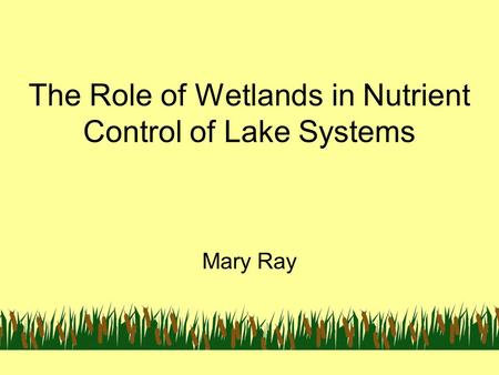 The Role of Wetlands in Nutrient Control of Lake Systems Mary Ray.