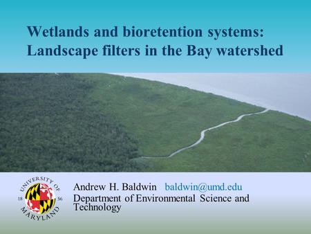 Wetlands and bioretention systems: Landscape filters in the Bay watershed Andrew H. Baldwin Department of Environmental Science and Technology.