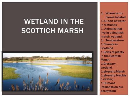 1.Where is my biome located 1.All sort of water in wetlands 1. Animals that live in a Scottish marsh wetland. 1.Temperature 1.Climate in Scotland 1.Sorts.