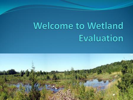 Break down Presentation on ELC and OWES Break Field exercise will consist of (1h-1.5): Performing a soil survey Delineate a wetland boundary using plants.