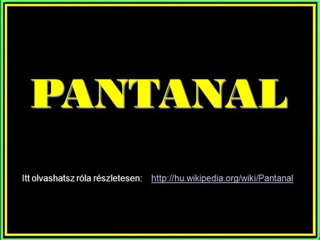 PANTANAL Itt olvashatsz róla részletesen: