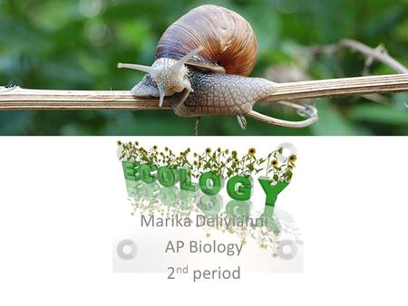 Marika Deliyianni AP Biology 2 nd period. Terrestrial and Wetland Ecosystems: Primary Production Temperature and moisture control primary production in.