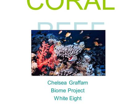 CORAL REEF Chelsea Graffam Biome Project White Eight.