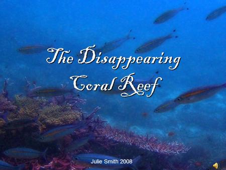 The Disappearing Coral Reef Julie Smith 2008 Healthy Reef : biodiversity, brightly colored healthy coral Dead/Dying Reef : coral bleaching, limited flora.