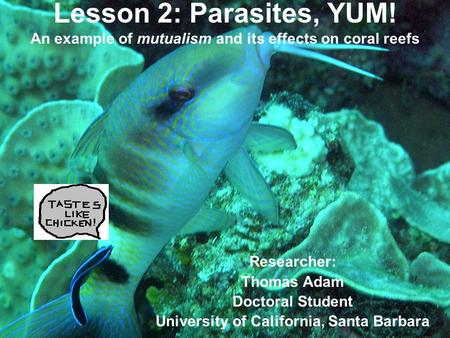 Lesson 2: Parasites, YUM! An example of mutualism and its effects on coral reefs Researcher: Thomas Adam Doctoral Student University of California, Santa.