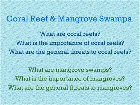 Coral Reef & Mangrove Swamps