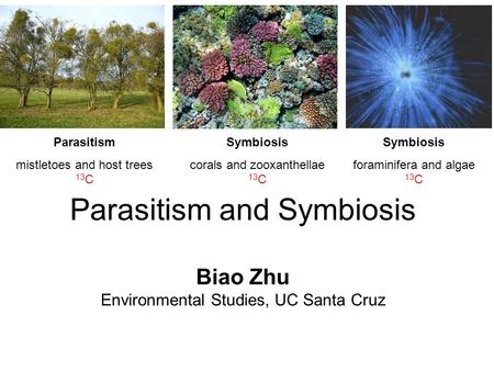 Parasitism and Symbiosis Biao Zhu Environmental Studies, UC Santa Cruz Parasitism mistletoes and host trees 13 C Symbiosis corals and zooxanthellae 13.