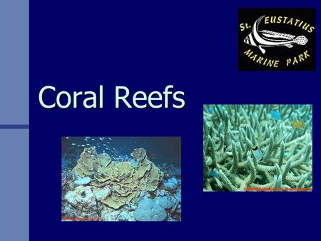 Coral Reefs. What is Coral? GIANT STRUCTURES built by tiny creatures GIANT STRUCTURES built by tiny creatures Some reef systems are so huge that they.