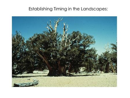 Establishing Timing in the Landscapes:. Weathering often affects only the surface of a rock and a cross-section will expose a very different material.