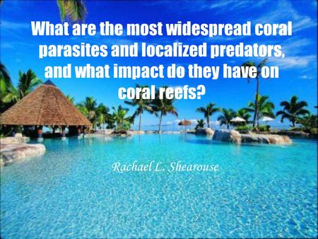 What are the most widespread coral parasites and localized predators, and what impact do they have on coral reefs? Rachael L. Shearouse.