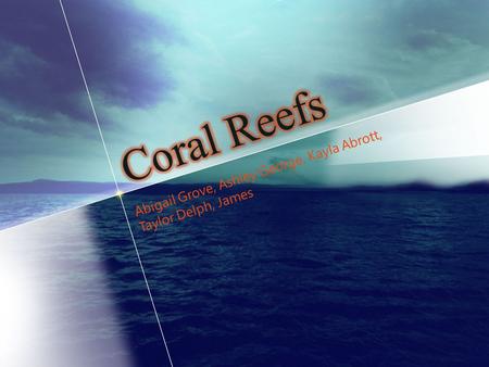 Coral Reefs Abigail Grove, Ashley George, Kayla Abrott, Taylor Delph, James.